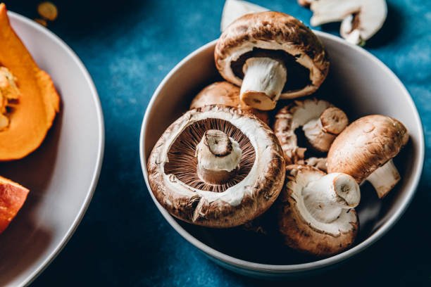 How Mushroom Gummies Support Focus and Clarity Naturally - Amish Reserve