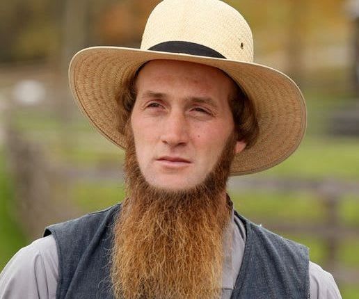 Amish Reserve Beard Oil: The Ultimate Guide to a Healthy, Luxurious Beard - Amish Reserve