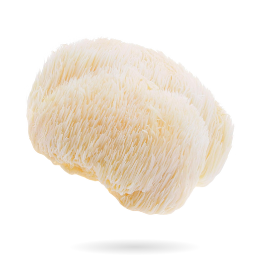How Lion’s Mane Gummies Can Boost Your Focus