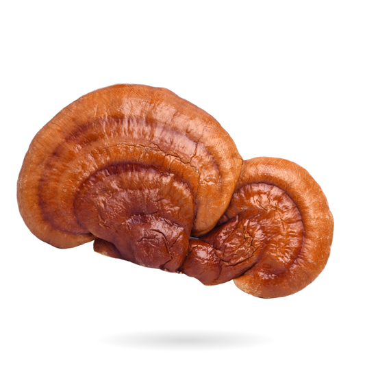 Top 5 Benefits of Mushroom Gummies for Brain Health