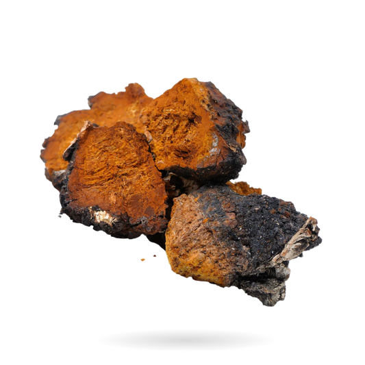 Are Mushroom Gummies Safe? What You Need to Know