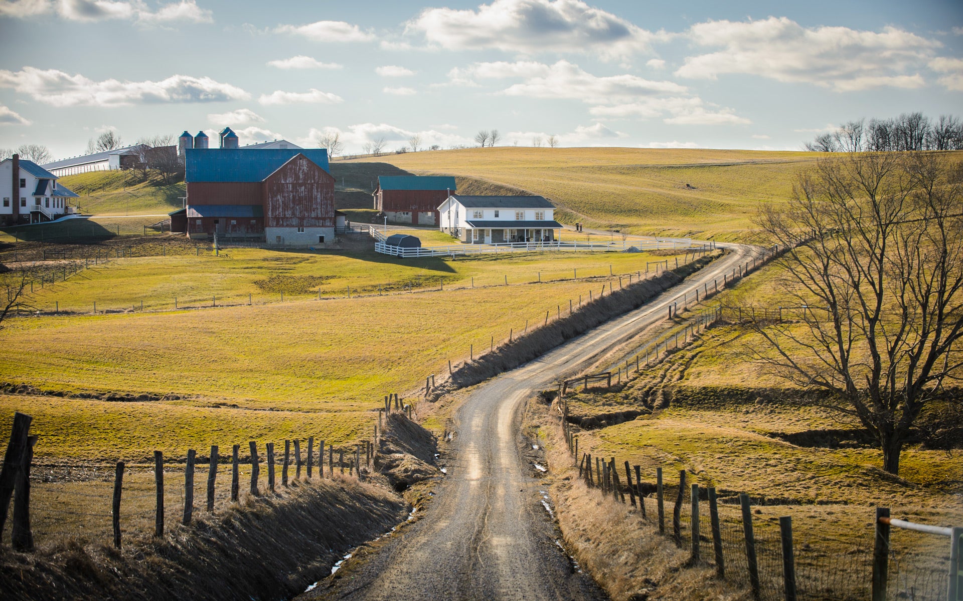 Amish Reserve