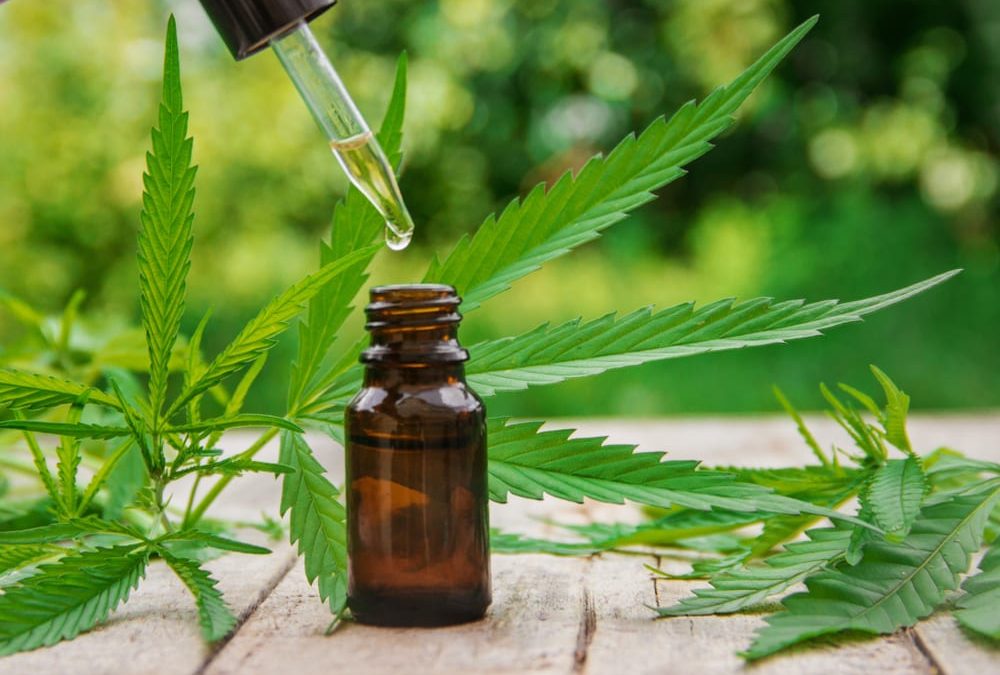 CBD Tinctures are Easy to Use