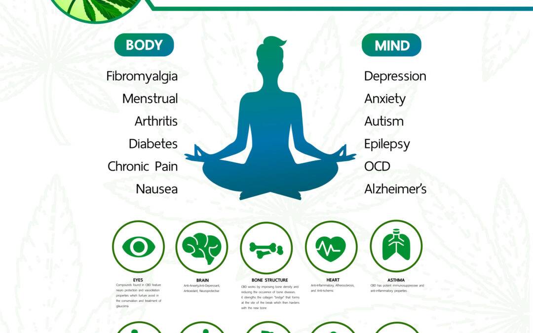 The Benefits of CBD Oil